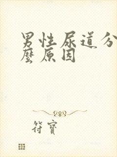 男性尿道分叉什么原因封面