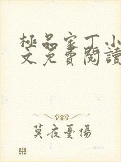 极品家丁小说全文免费阅读笔趣阁