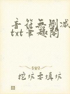 音符无删减全文txt笔趣阁封面