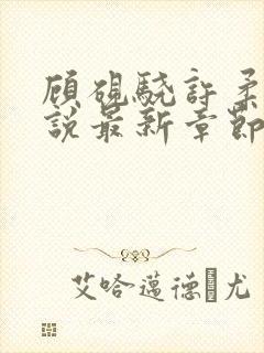 顾砚骁许柔汐小说最新章节更新内容封面