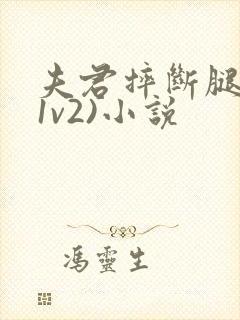 夫君摔断腿后(1v2)小说