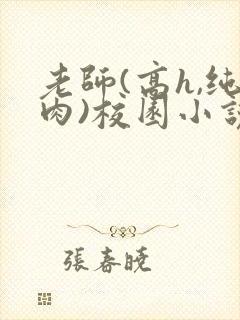 老师(高h,纯肉)校园小说封面