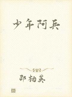 少年阿兵封面
