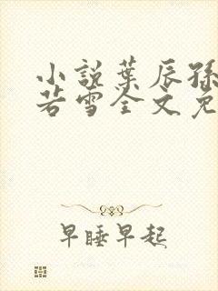 小说叶辰孙怡夏若雪全文免费阅读