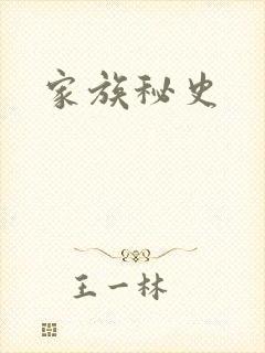 家族秘史封面
