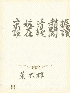 宋婉清赵振国小说在线阅读