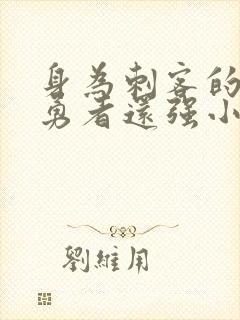 身为刺客的我比勇者还强小说封面