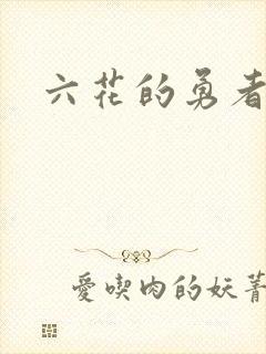 六花的勇者小说