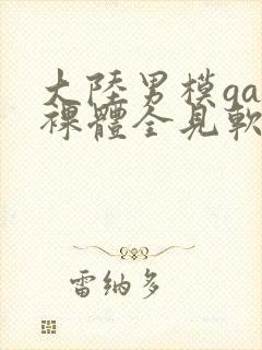 大陆男模gay裸体全见软件