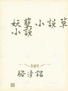 妖孽小说草莓酱小说