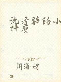 沈清辞的小说叫什么封面