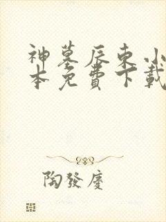 神墓辰东小说全本免费下载