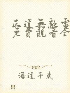 正道无敌电视剧免费观看全集完整版封面