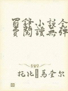 罗铮小说全文免费阅读无弹窗