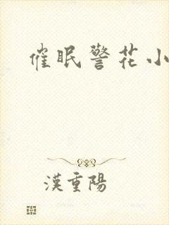 催眠警花小说封面