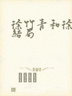 徐竹青和徐兰森结局封面