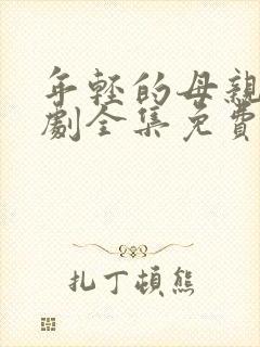 年轻的母亲电视剧全集免费观看