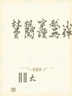 林枫穿越小说免费阅读无弹窗