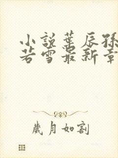 小说叶辰孙怡夏若雪最新章节阅读