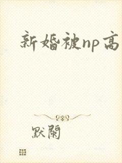 新婚被np高h