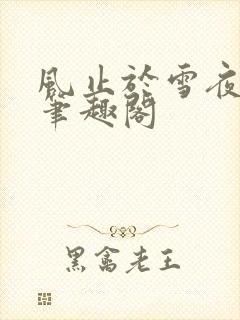 风止于雪夜龚鹤笔趣阁