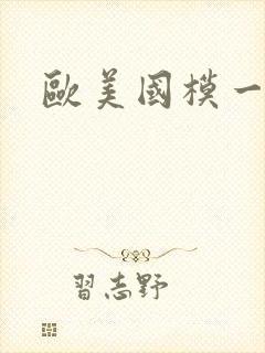 欧美国模一区