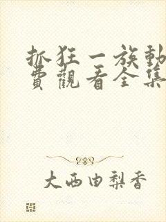 抓狂一族动漫免费观看全集