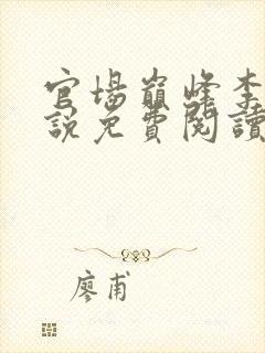 官场巅峰李霖小说免费阅读