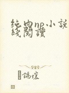 纯肉np小说在线阅读