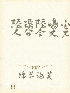 陆瑶陆鸣小说主人公全文免费阅读笔趣阁