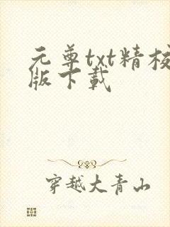 元尊txt精校版下载