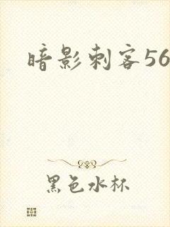 暗影刺客567封面