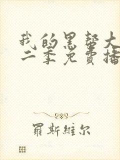 我的黑帮大佬第二季免费播放在线观看