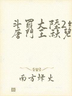 斗罗大陆2绝世唐门王秋儿封面
