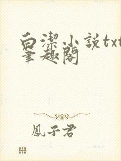 白洁小说txt笔趣阁封面