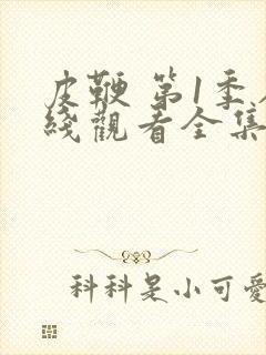 皮鞭 第1季在线观看全集免费播放