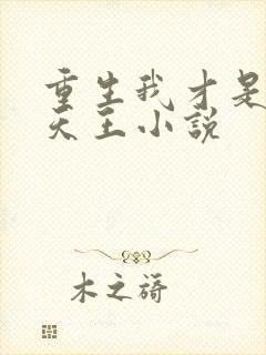 重生我才是娱乐天王小说
