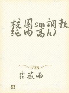 校园sm调教(纯肉高h)