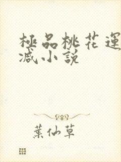 极品桃花运未删减小说