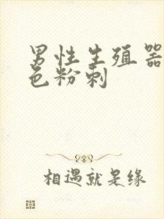 男性生殖器长白色粉刺