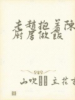 老赵抱着陈婷在厨房做饭封面