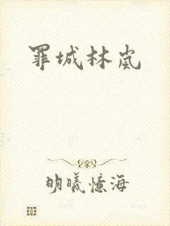 罪城林岚封面