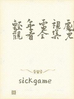 轻年电视剧在线观看全集免费