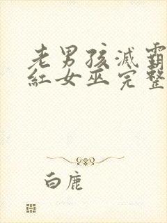 老男孩灭霸和绯红女巫完整版播放