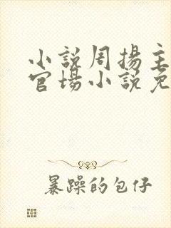 小说周扬主角的官场小说免费阅读