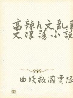 高辣h文乱乳h文浪荡小说苏柔