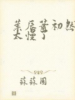 叶辰萧初然更新太慢了封面