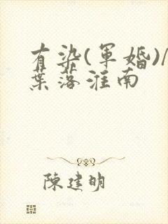 有染(军婚)/叶落淮南