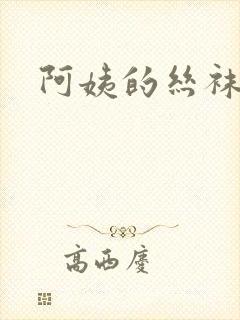 阿姨的丝袜小说