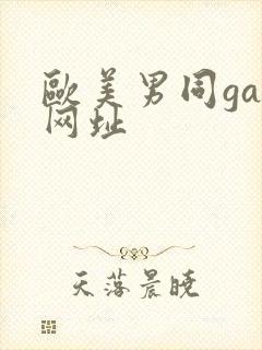 欧美男同gay网址